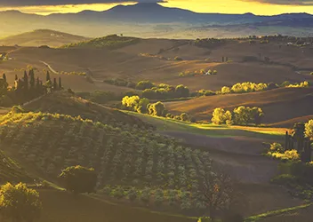 Toscana: un viaggio agrodolce tra spiagge e colline